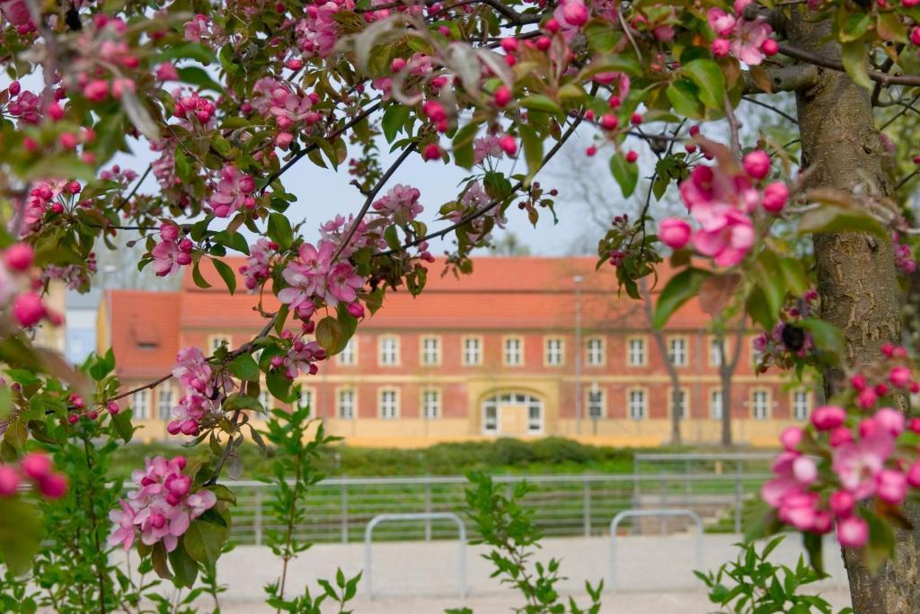 Hotel Vierseithof Luckenwalde Extérieur photo