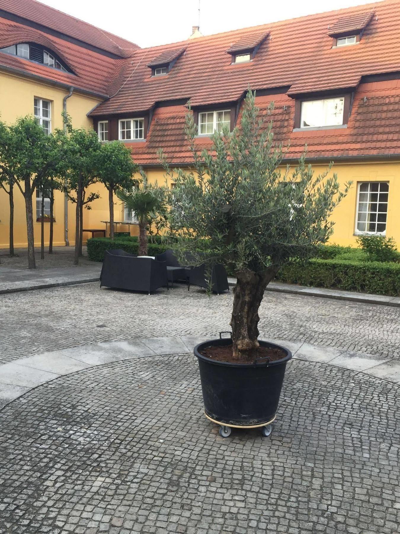 Hotel Vierseithof Luckenwalde Extérieur photo